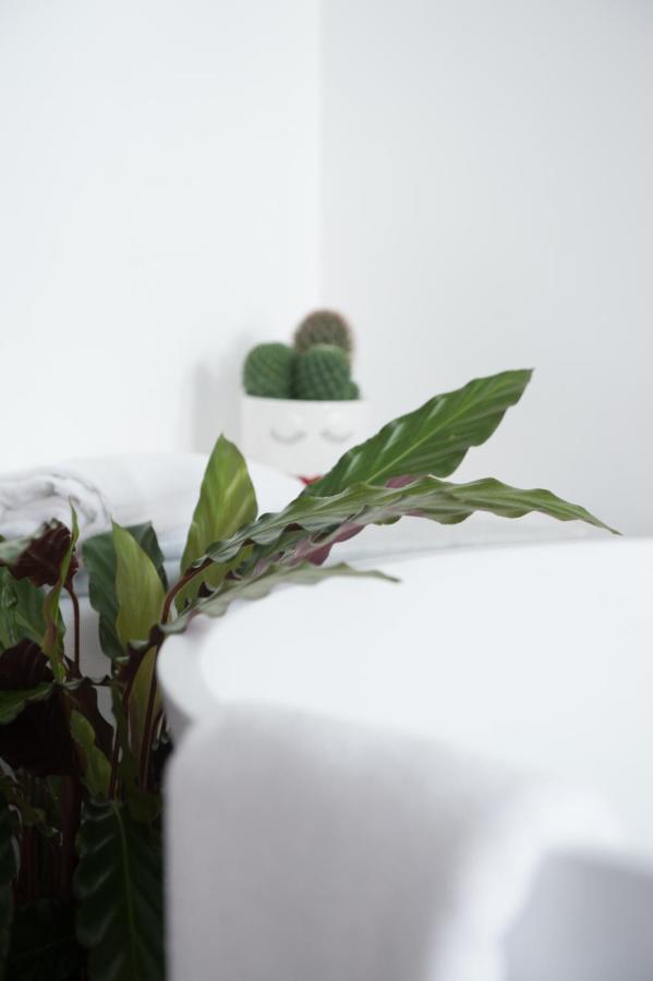 רומא Le Terrazze Del Duca San Pietro Guesthouse מראה חיצוני תמונה
